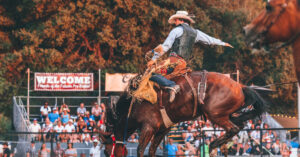 Cowboy brinco riding at the Folsom Pro Rodeo.